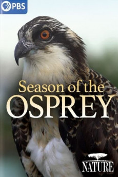 Nature Season of the Osprey (2022) download