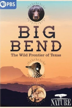 Nature Big Bend: The Wild Frontier of Texas (2021) download