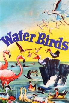 Water Birds (2022) download