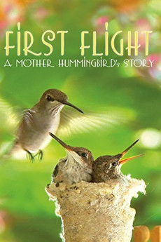 First Flight: A Mother Hummingbird's Story (2022) download