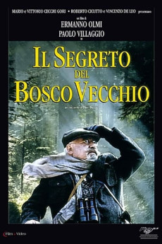 Il segreto del bosco vecchio (1993) download