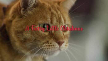 Furry Little Christmas (2021) download
