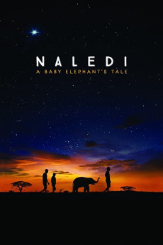 Naledi: A Baby Elephant's Tale (2022) download