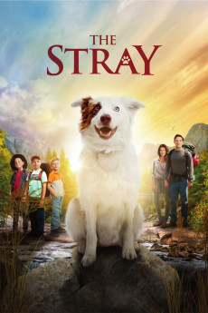 The Stray (2022) download