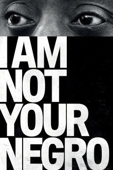 I Am Not Your Negro (2016) download