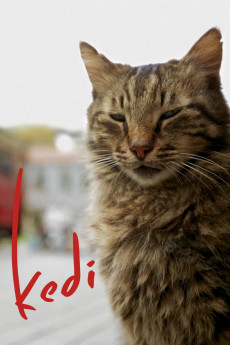 Kedi (2016) download