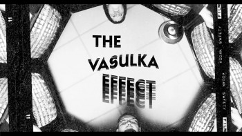 The Vasulka Effect (2019) download
