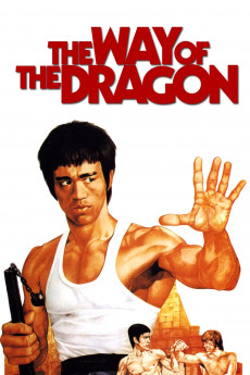 The Way of the Dragon (2022) download