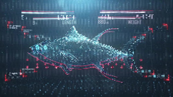Shark vs Tuna (2018) download