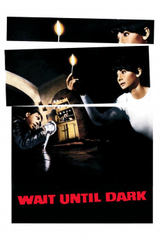 Wait Until Dark (1967) download