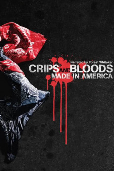 Crips and Bloods: Made in America (2008) download