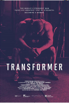 Transformer (2022) download