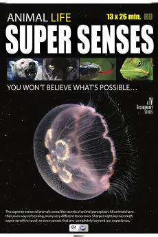Super Senses (2022) download