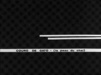 Couro de Gato (1962) download