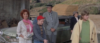 Mr. Hobbs Takes a Vacation (1962) download
