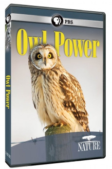Nature Owl Power (2022) download